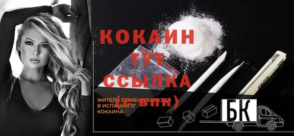 гидра Абаза