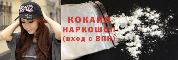 гидра Абаза