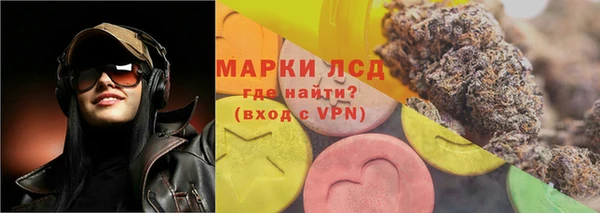 гидра Абаза