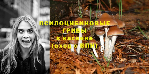 ALPHA PVP Галич