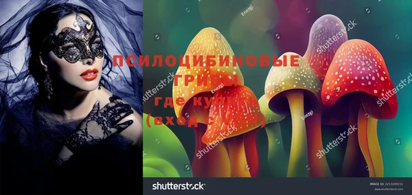 spice Гвардейск