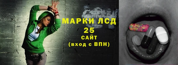 гидра Абаза